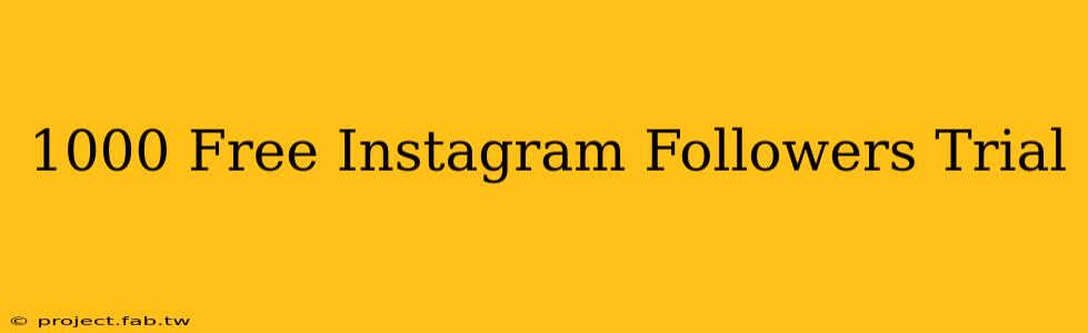 1000 Free Instagram Followers Trial