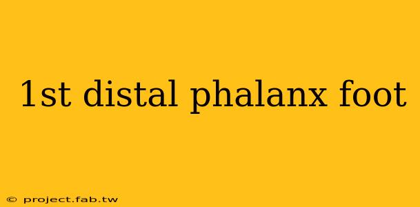 1st distal phalanx foot