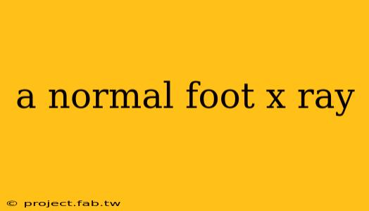 a normal foot x ray