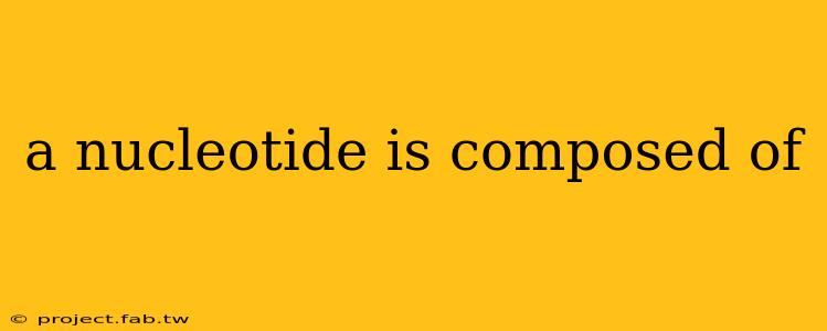 a nucleotide is composed of