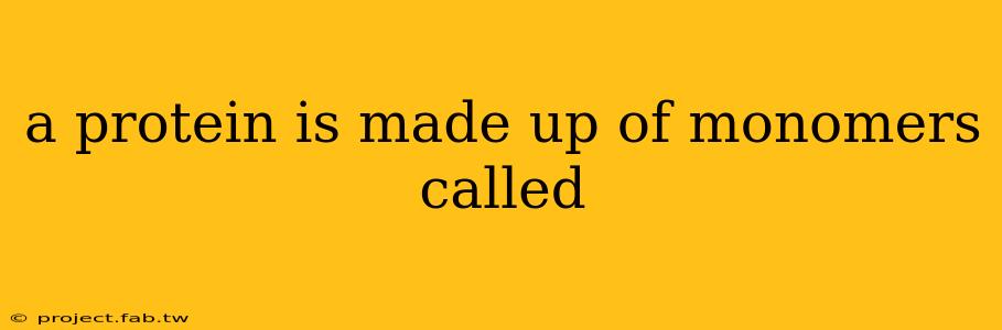 a protein is made up of monomers called