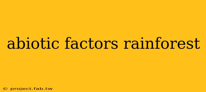 abiotic factors rainforest