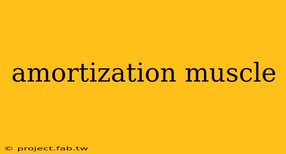 amortization muscle