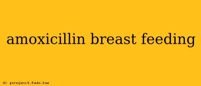 amoxicillin breast feeding