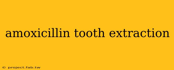 amoxicillin tooth extraction