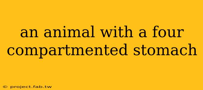 an animal with a four compartmented stomach