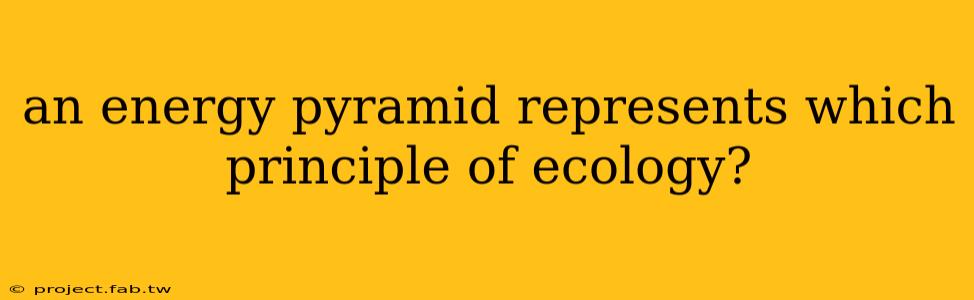 an energy pyramid represents which principle of ecology?