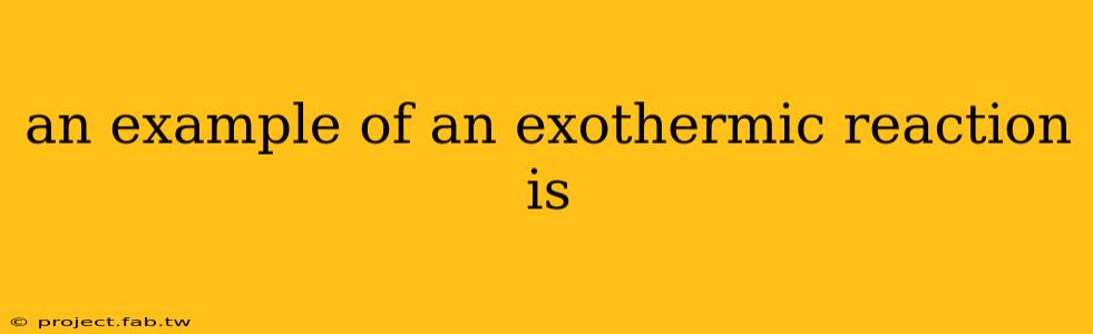 an example of an exothermic reaction is