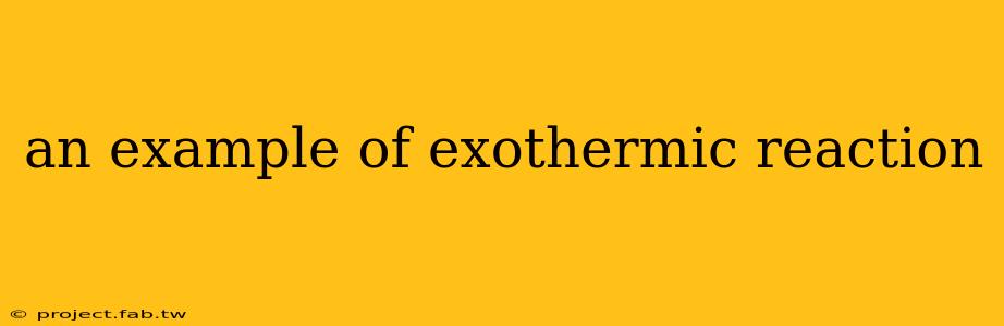 an example of exothermic reaction