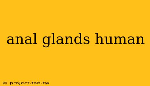 anal glands human