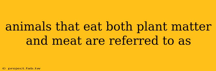 animals that eat both plant matter and meat are referred to as