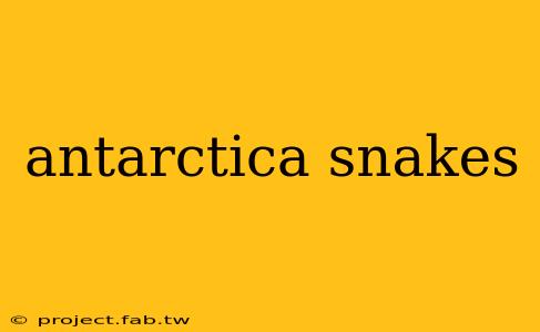 antarctica snakes