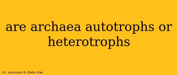 are archaea autotrophs or heterotrophs