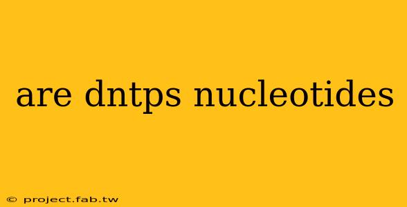 are dntps nucleotides