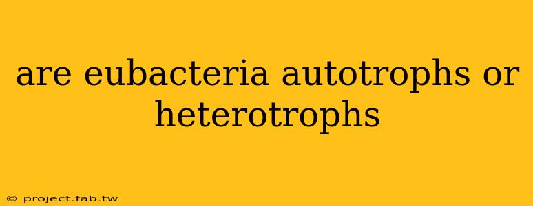 are eubacteria autotrophs or heterotrophs