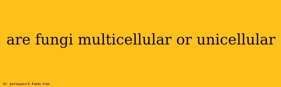 are fungi multicellular or unicellular