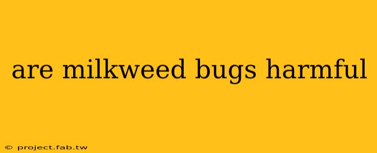 are milkweed bugs harmful