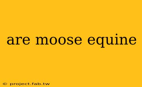 are moose equine