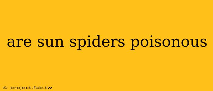 are sun spiders poisonous