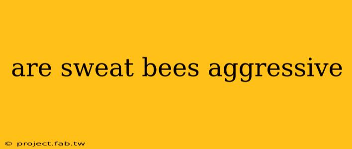 are sweat bees aggressive