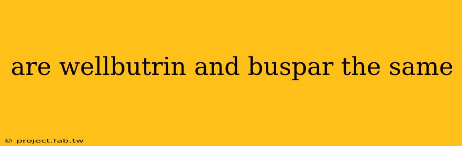 are wellbutrin and buspar the same