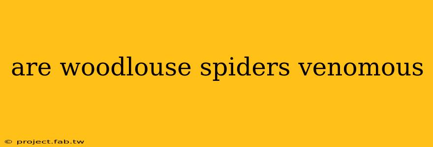 are woodlouse spiders venomous