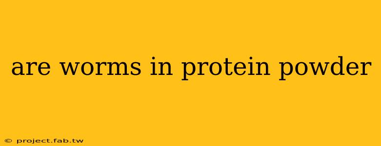 are worms in protein powder