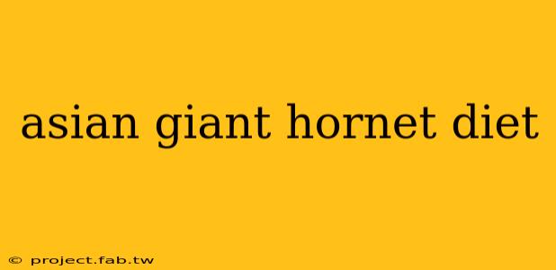 asian giant hornet diet