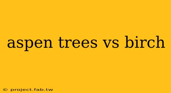 aspen trees vs birch