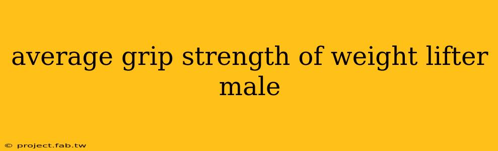 average grip strength of weight lifter male