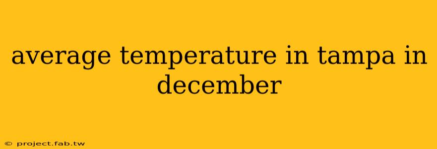 average temperature in tampa in december