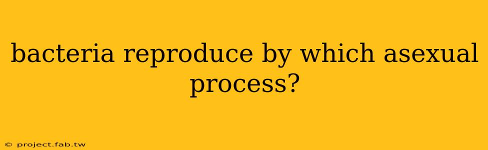 bacteria reproduce by which asexual process?