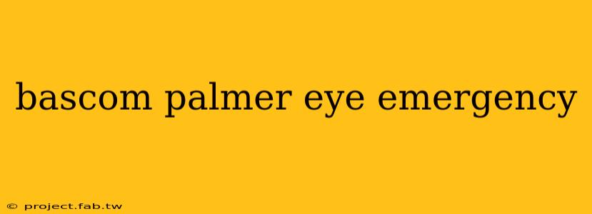 bascom palmer eye emergency