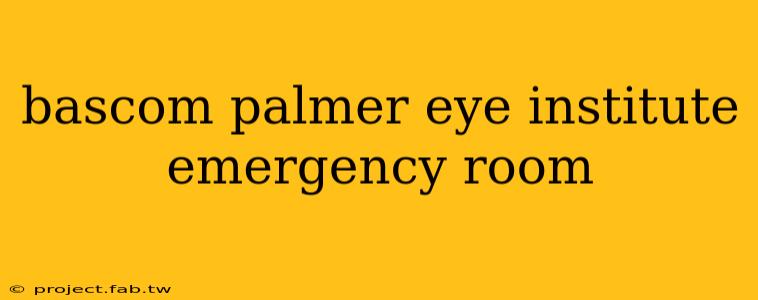 bascom palmer eye institute emergency room