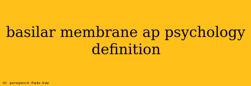 basilar membrane ap psychology definition