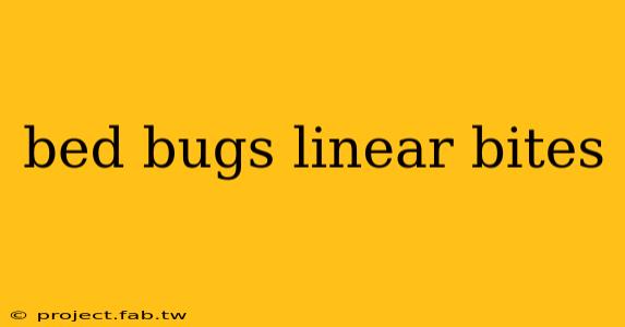 bed bugs linear bites