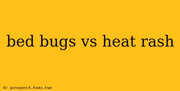 bed bugs vs heat rash