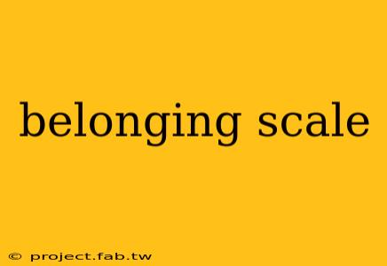 belonging scale