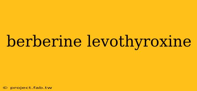 berberine levothyroxine