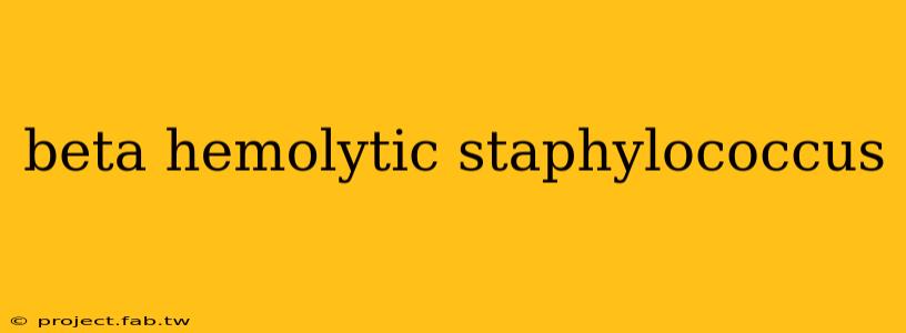 beta hemolytic staphylococcus