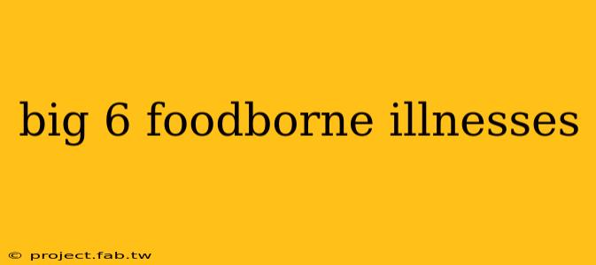 big 6 foodborne illnesses