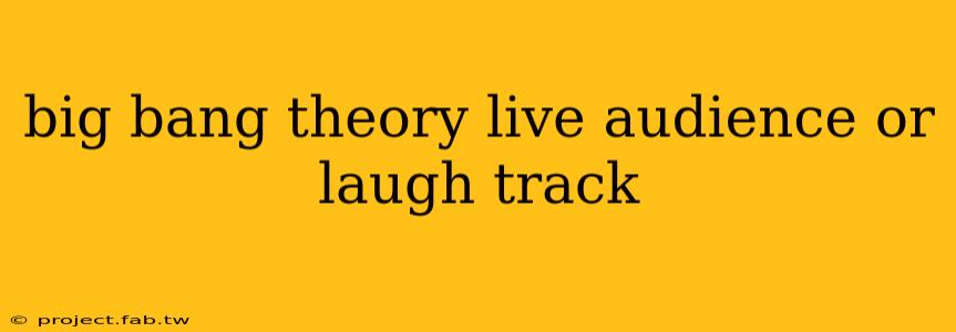 big bang theory live audience or laugh track