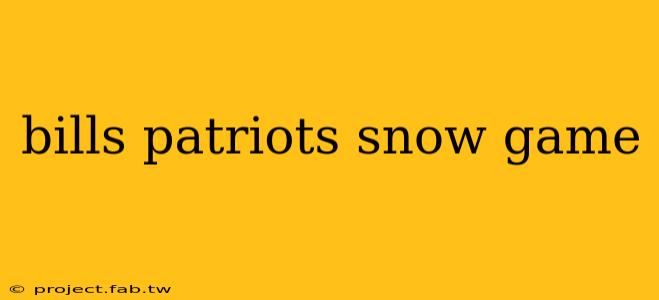 bills patriots snow game