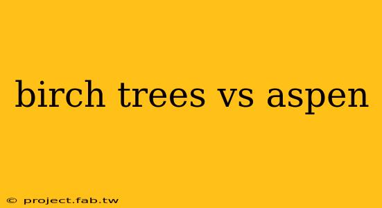 birch trees vs aspen