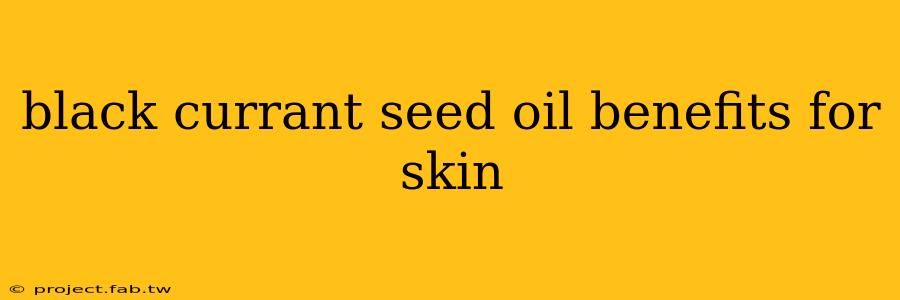 black currant seed oil benefits for skin