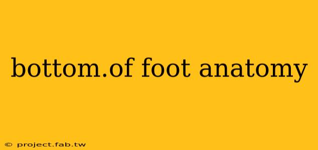 bottom.of foot anatomy