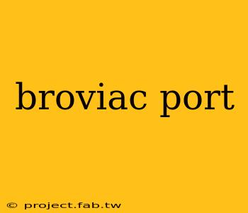 broviac port