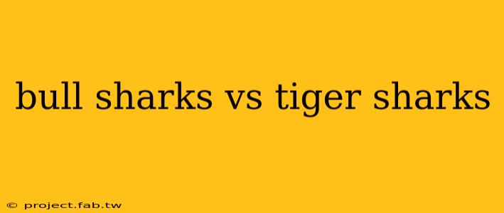 bull sharks vs tiger sharks