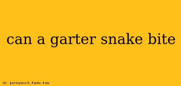 can a garter snake bite