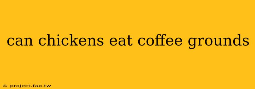 can chickens eat coffee grounds